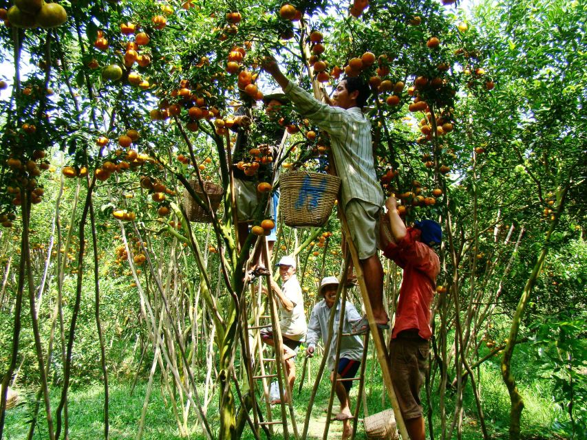 HCMC: Cai Rang Floating Market & Mekong Delta Private Tour - How the guides shape the day