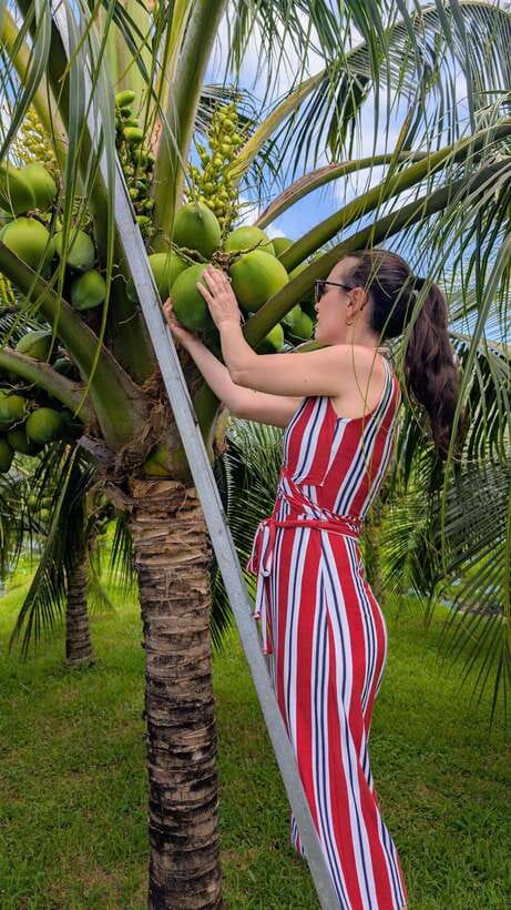 Ho Chi Minh: 1-Day Mekong Delta Tour-Floating Market & Islet - Who Should Book This Mekong Delta Day Trip?