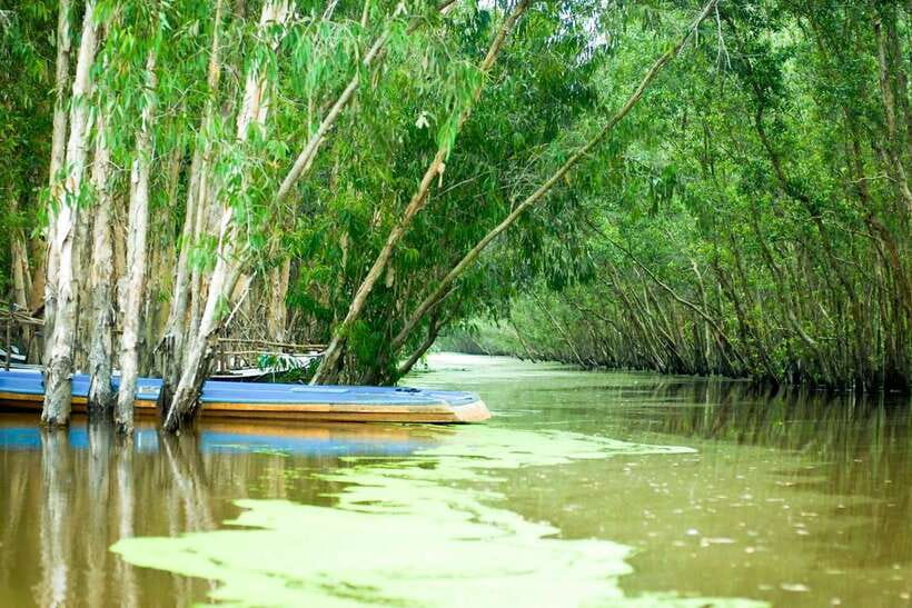 Ho Chi Minh: 3-Day Mekong Delta & Optional Exit to PhnomPenh - Tra Su Forest by rowing boat