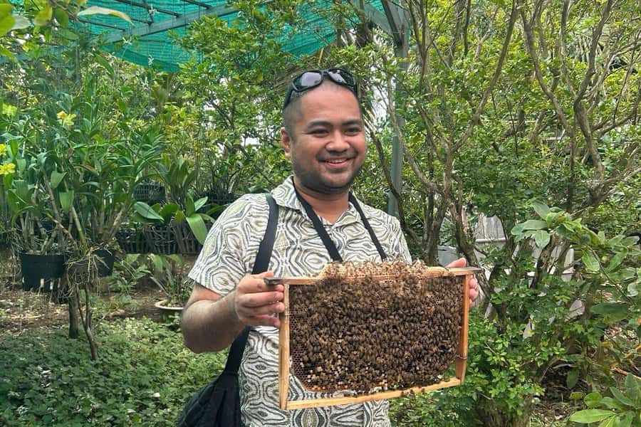 Ho Chi Minh: Adventurous Mekong Delta Full Day Tour - Don Ca Tai Tu adds a Southern Vietnamese voice