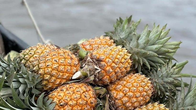 Ho Chi Minh: Authentic boat trip - Cai Rang Floating Market - Breakfast Boats at Cai Rang