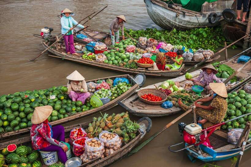 Ho Chi Minh City: Cai Rang Floating Market in Can Tho Tour - Fruit gardens, a monkey bridge and hands-on stops