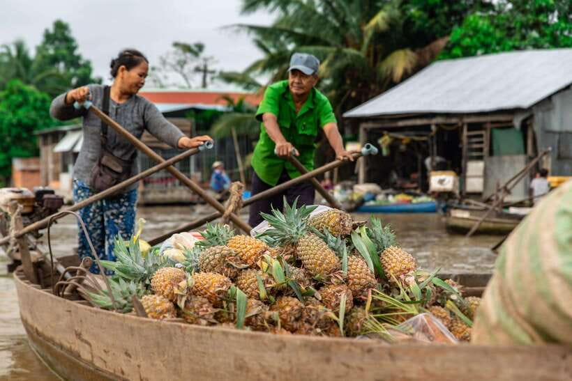 Ho Chi Minh City: Cai Rang Floating Market in Can Tho Tour - What the $100 price includes