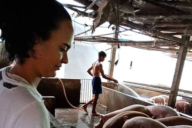 Ho Chi Minh City Full-Day Farm trip with Healthy Cooking Class - Why this farm day works so well