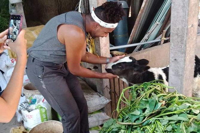 Ho Chi Minh City Full-Day Farm trip with Healthy Cooking Class - Picking ingredients in the organic garden