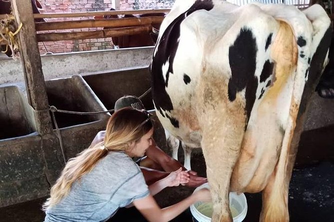 Ho Chi Minh City Full-Day Farm trip with Healthy Cooking Class - Seeing how rice paper is made