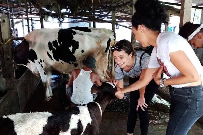 Ho Chi Minh City Full-Day Farm trip with Healthy Cooking Class - Meeting the farm animals