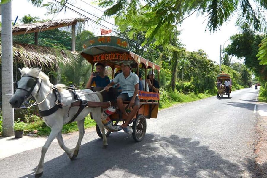 Ho Chi Minh Daily Tour: Full Day Mekong Delta (Private tour) - Key points to know before booking