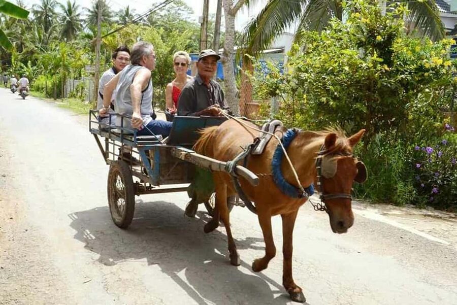 Ho Chi Minh Daily Tour: Full Day Mekong Delta (Private tour) - Ben Tre and the work behind coconut candy