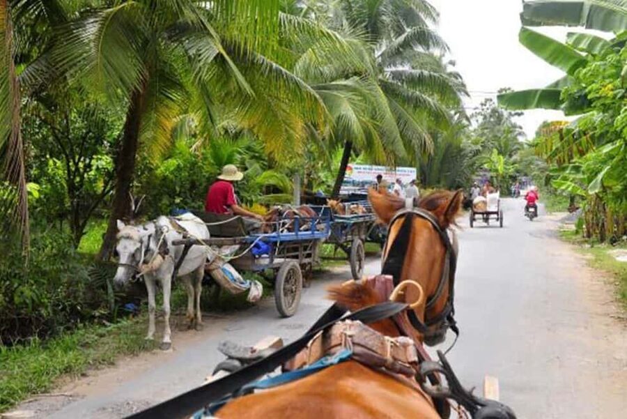 Ho Chi Minh Daily Tour: Full Day Mekong Delta (Private tour) - Horse cart and a slower look at village life