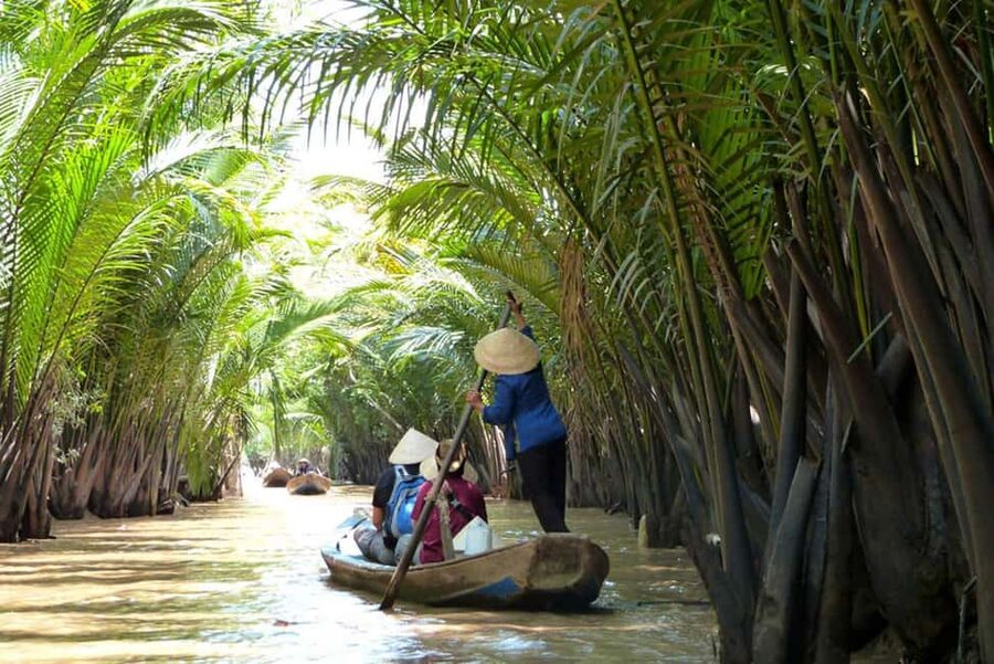 Ho Chi Minh Daily Tour: Full Day Mekong Delta (Private tour) - Lunch with elephant ear fish