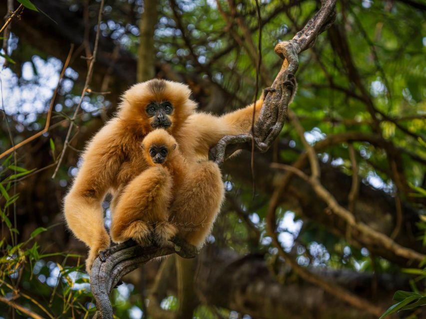 Ho Chi Minh to Cat Tien National Park – Dalat (3 days) - Day three links forest, waterfalls, and Dalat
