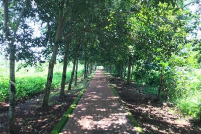 Long Tan Battlefield Day Tour – “Lest We Forget”