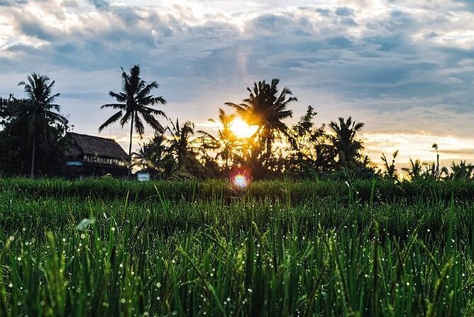 LUXURY Mekong 2 Days 1 Night SMALL GROUP Stay at Tiny Homestay with BBQ Dinner - Cycling through orchards on Day Two