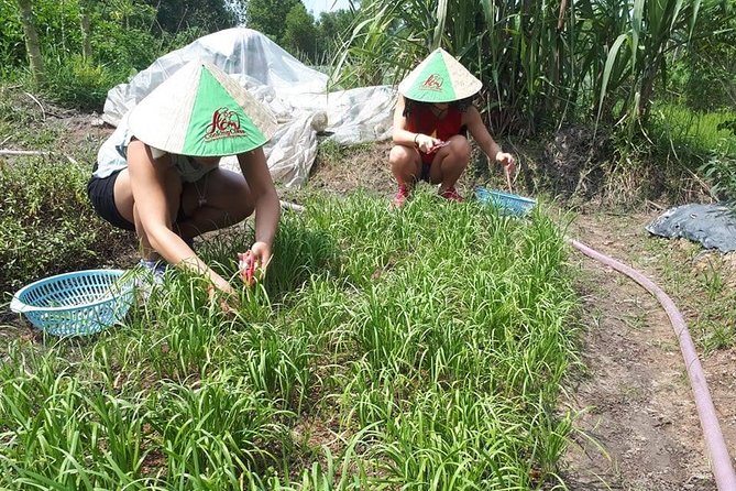 Market to Farm to Table Cooking Class in saigon - Practical details before you book