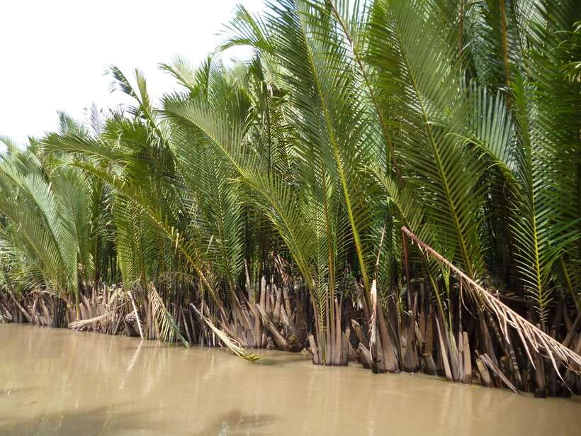 Mekong Day Tour by Car:Cai Be market, Local Island & Cycling - Noon lunch at a local garden house