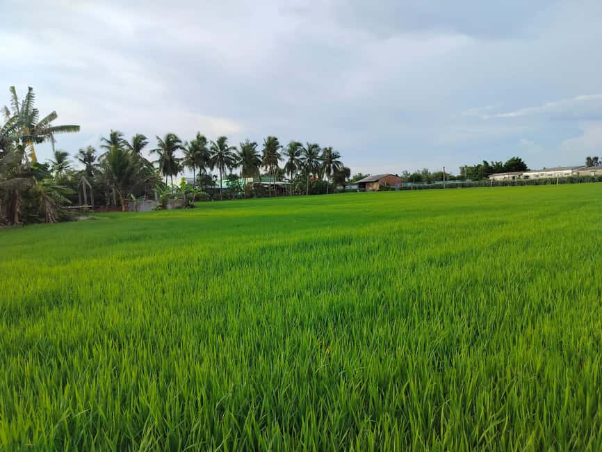 Mekong Day Trip Group 12pax Explore Bicycle & Cooking Class - Cycling around Family Tiny Garden