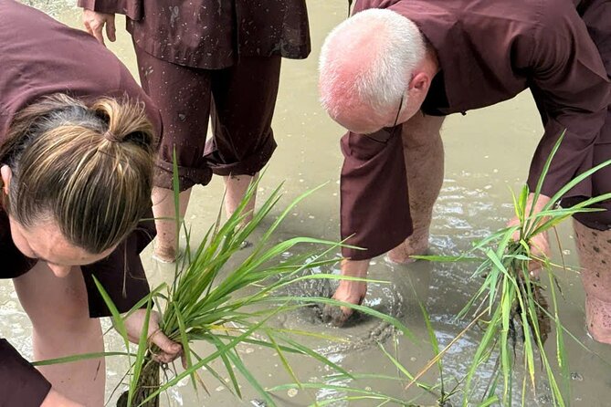 Mekong Delta 2 Days 1 Night Small Group Homestay - Cooking class and the return to Ho Chi Minh City