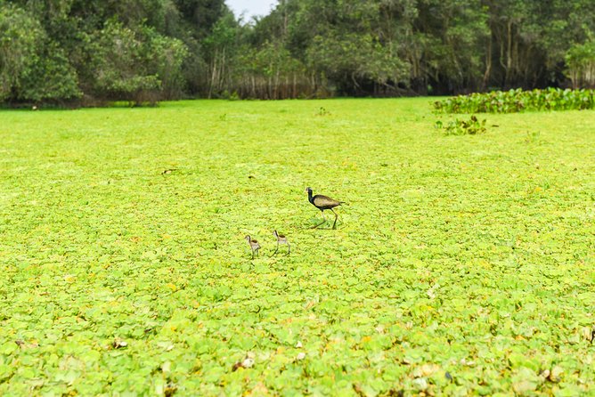 Mekong Delta 3-Day: Saigon to Phnom Penh Gateway - Day three: Sam Mountain, Cham culture, and the Cambodia link