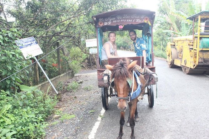 Mekong Delta Adventure by Private Car from Phu My Port - How the private format changes the day