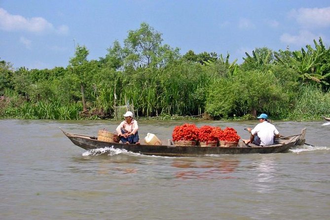 Mekong Delta Floating Market Luxury Group Tour - What the guide adds to the day