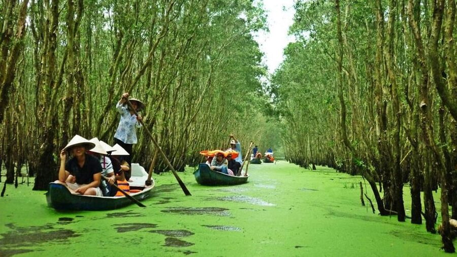MeKong Delta Tour 1 Day - Is $20 good value?