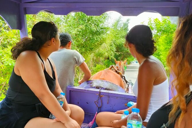 Mekong Delta Tour Daily - Cruising past fish farms and stilt houses