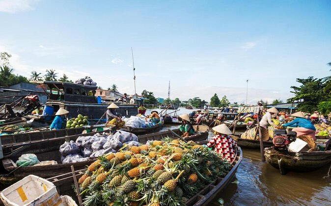 Mekong Delta Tour Full Day Cai Be-Vinh Long - Key Points at a Glance