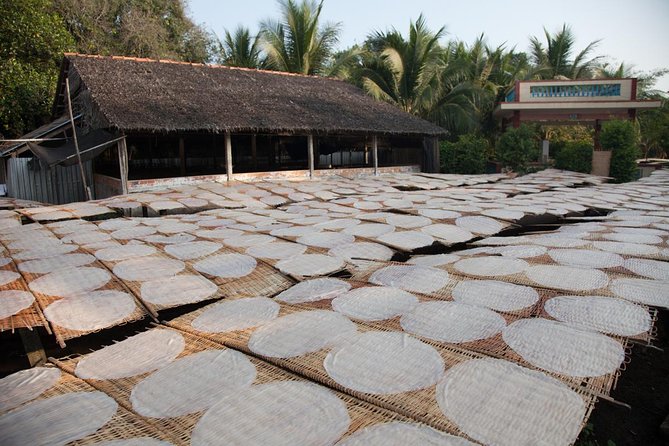Mekong Delta Tour Full Day Cai Be-Vinh Long - Who Will Enjoy This Tour Most?