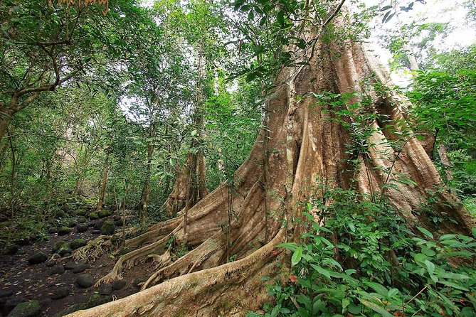 Nam Cat Tien National Park 2-Day Tour with Lodging, Meals.. - Key points to know before you book