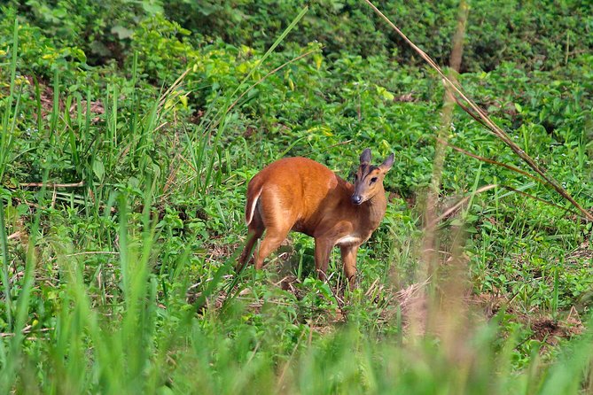 Nam Cat Tien National Park 2-Day Tour with Lodging, Meals.. - Leaving Ho Chi Minh City for Cat Tien