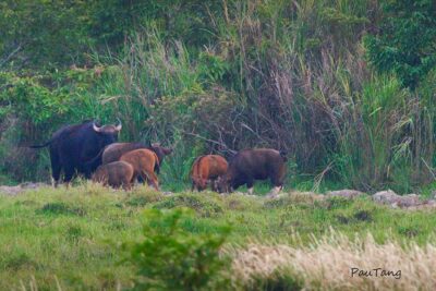 Nam Cat Tien National Park 2-Day Tour with Lodging, Meals..