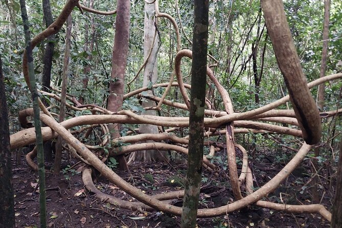 Nam Cat Tien National Park 2-Day Tour with Lodging, Meals.. - Is $370 a fair price?