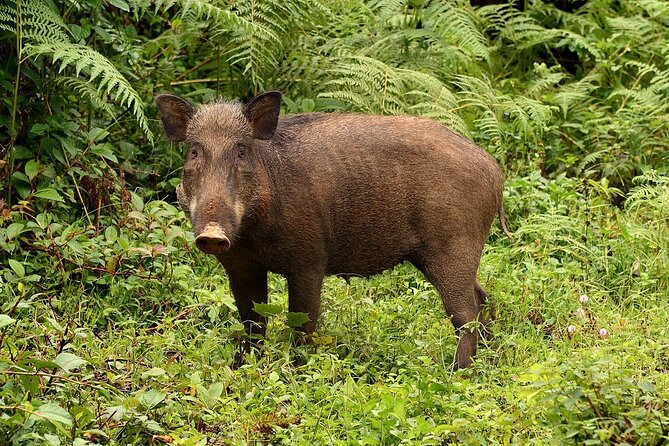 Nam Cat Tien National Park 2 Days 1 Night - Private Tour - How private is the tour?