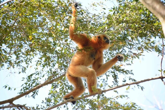 Nam Cat Tien National Park 2 Days 1 Night - Private Tour - The night Jeep ride and animal spotting