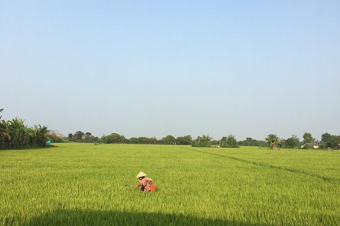 Private - An Authentic Mekong Local Version - Day Tour - Why this Mekong trip feels different