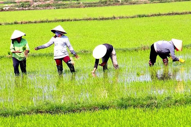 Private - An Authentic Mekong Local Version - Day Tour - Leaving Ho Chi Minh City at 7:30 a.m.