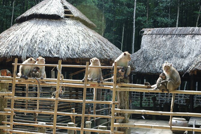 Private Can Gio Biosphere Reserve Day Trip from Ho Chi Minh City - Crocodile fishing and the local lunch stop
