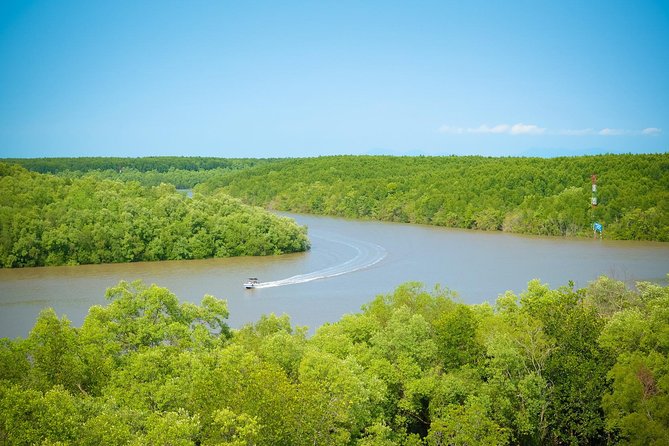Private Can Gio Mangrove Eco Tour – Boat & Wildlife - Crossing Binh Khanh Ferry into Can Gio