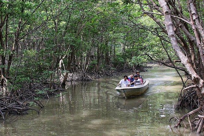 Private Can Gio Mangrove Eco Tour – Boat & Wildlife - Boat and canoe rides through the reserve