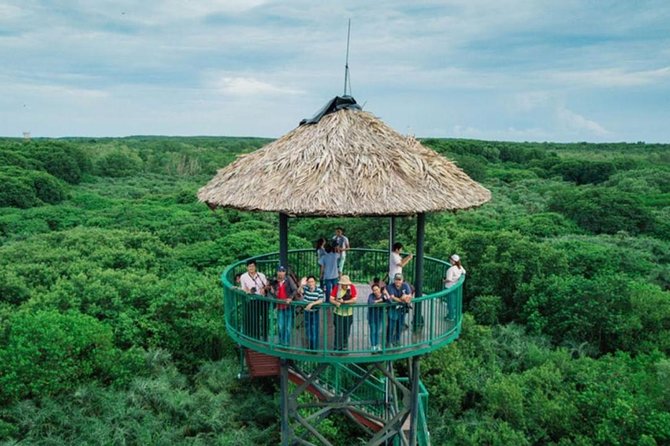 Private Can Gio Mangrove Eco Tour – Boat & Wildlife - The Vam Sat canopy tower