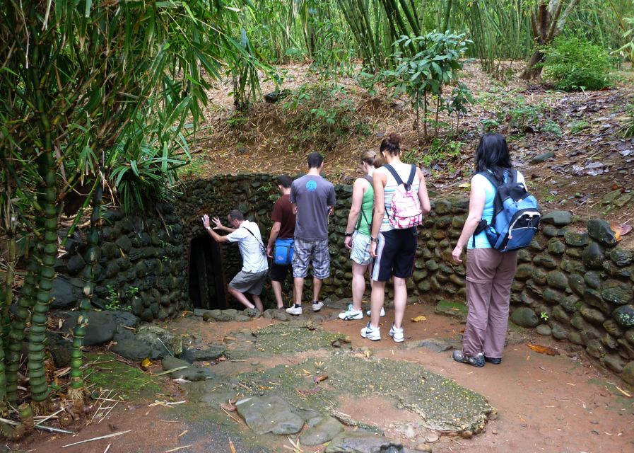 Private Cu Chi & Mekong Delta Tour: History Meets Nature - One long day from city streets to jungle canals