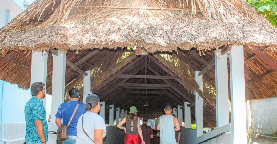 Private Cu Chi & Mekong Delta Tour: History Meets Nature - What the $140 private price really covers