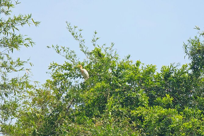 Private Full Day Mekong Delta Tour to Dong Thap Muoi Wetlands - Key points at a glance