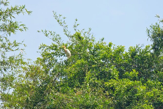 Private Full Day Mekong Delta Tour to Dong Thap Muoi Wetlands - What the private format changes
