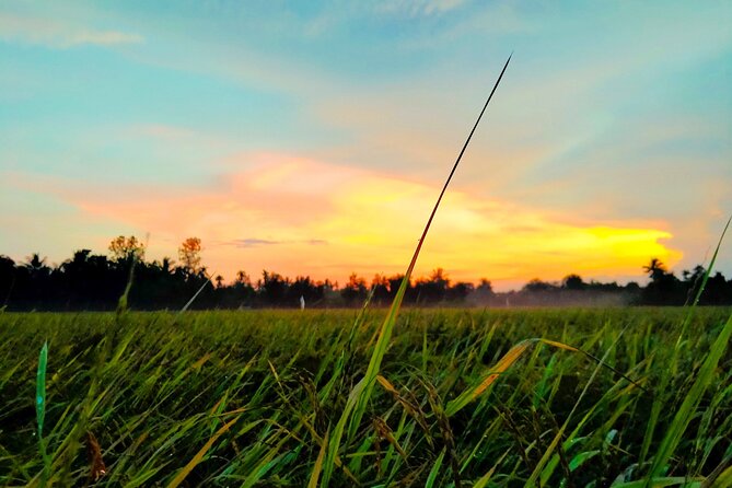 PRIVATE Mekong Delta 1 Day with Kayaking, Biking & Cooking - Leaving Ho Chi Minh City for My Tho and Ben Tre