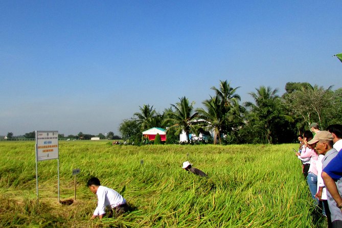 PRIVATE The Tunnels Of Cu Chi Half day tour - Lunch and the value of a private day