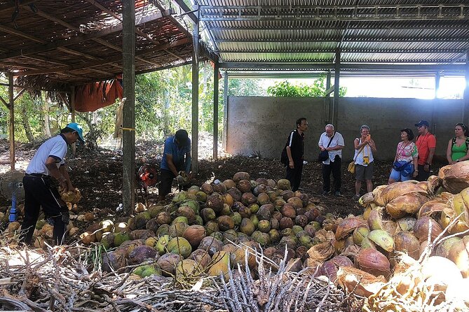 Private tour: Explore the authentic rural life in Ben Tre - Slipping through the Water Palms Canal