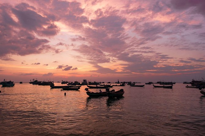 Private Tour Mekong Delta Day Trip from Ho Chi Minh City - Guides, timing, and the value of going private