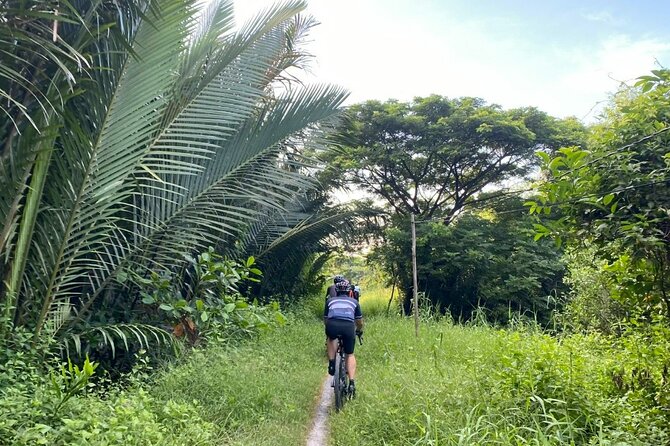 Saigon Countryside Cycling Adventure - Why Long An works for a short cycling trip
